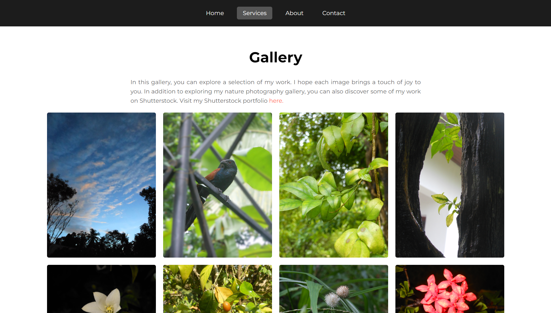 Team section screenshot